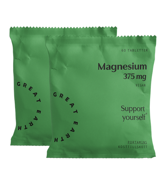 Magnesium 375mg 2 pack refill